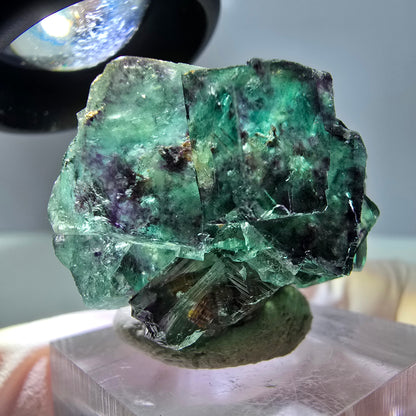 Phantom Fluorit Würfel Stufe, lila grün Okorusu, Namibia 30*28*18mm