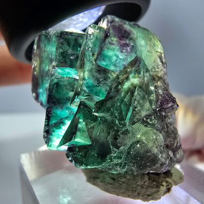 Phantom Fluorit Würfel Stufe, lila grün Okorusu, Namibia 30*28*18mm