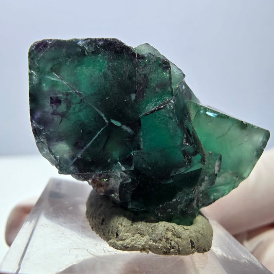 Phantom Fluorit Würfel Stufe, lila grün Okorusu, Namibia 31*20*16mm