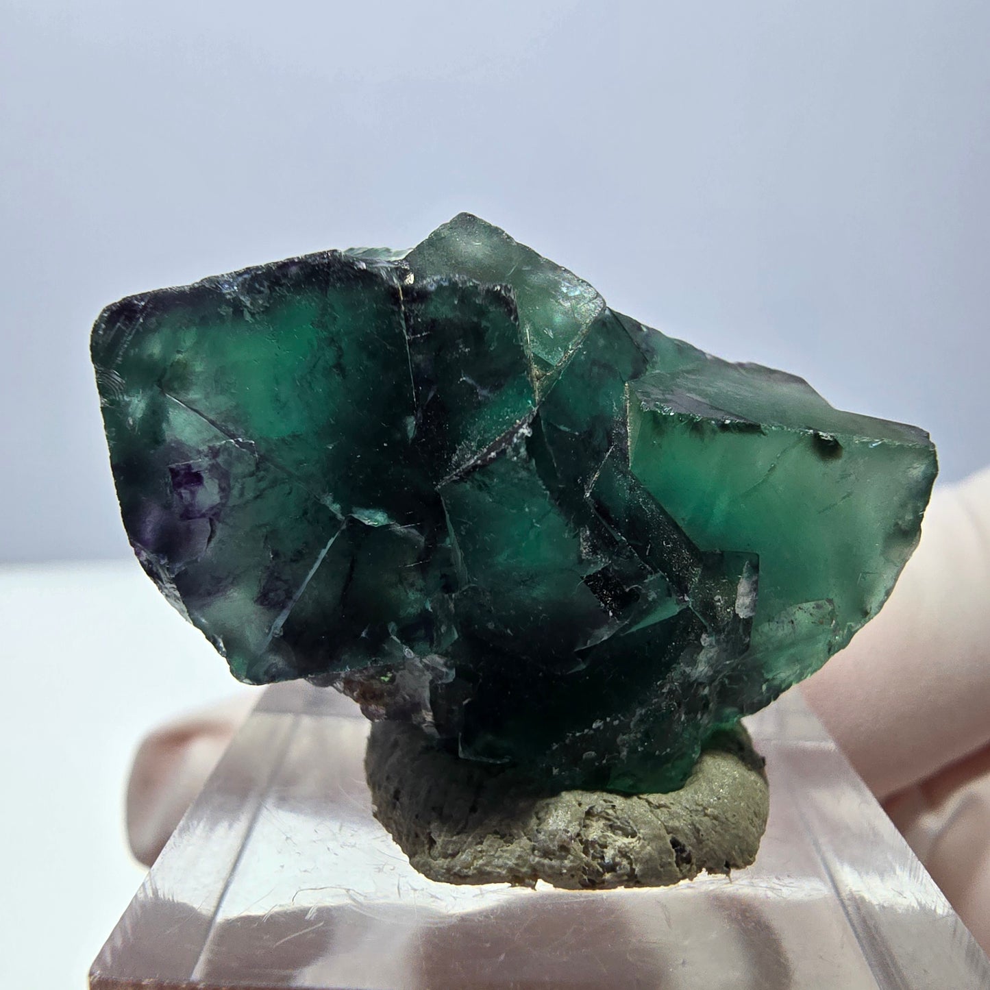 Phantom Fluorit Würfel Stufe, lila grün Okorusu, Namibia 31*20*16mm