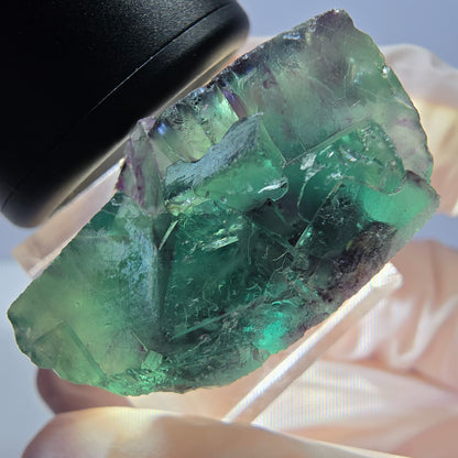 Phantom Fluorit Würfel Stufe, lila grün Okorusu, Namibia 31*20*16mm