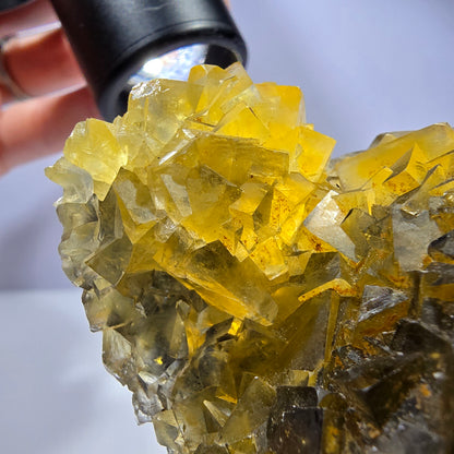 Phantom Fluorit Würfel Stufe, gelb grün Honey Pocket Mine, Okorusu, Namibia 88*66*32mm