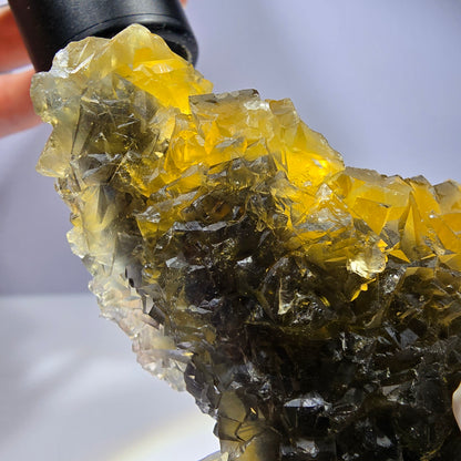 Phantom Fluorit Würfel Stufe, gelb grün Honey Pocket Mine, Okorusu, Namibia 88*66*32mm