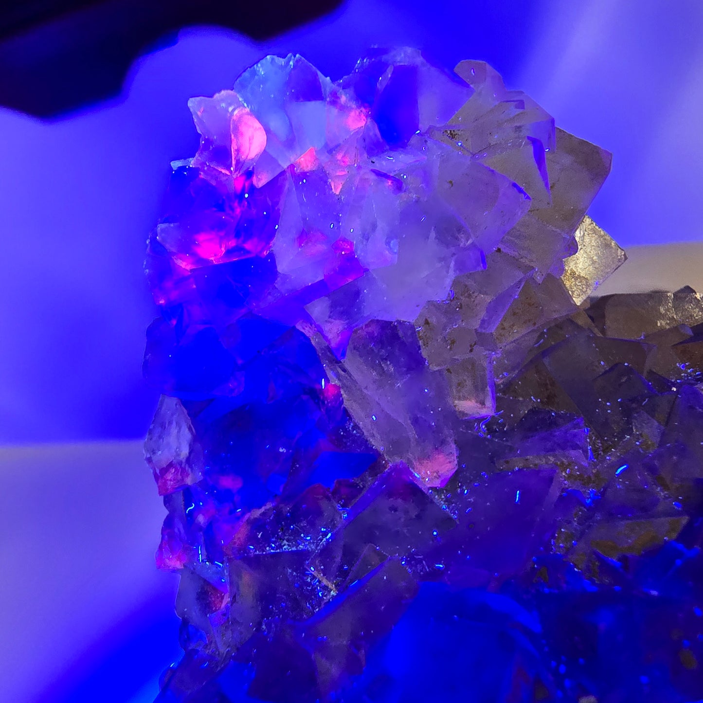 Phantom Fluorit Würfel Stufe, gelb grün Honey Pocket Mine, Okorusu, Namibia 88*66*32mm