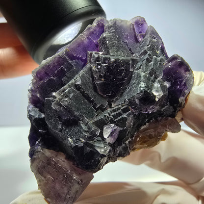 Phantom Fluorit Würfel Stufe, lila weiß Okorusu, Namibia 53*40*28mm