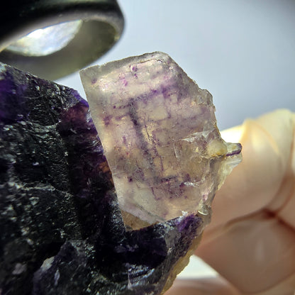 Phantom Fluorit Würfel Stufe, lila weiß Okorusu, Namibia 53*40*28mm
