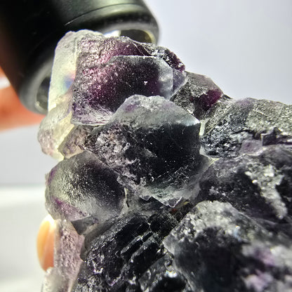 Phantom Fluorit Würfel Stufe, lila grün Okorusu, Namibia 63*44*27mm