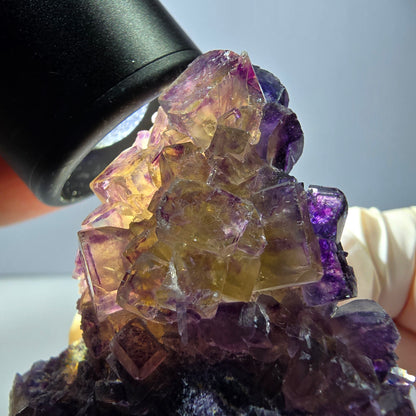 Phantom Fluorit Würfel Stufe, lila gelb Okorusu, Namibia 63*48*20mm