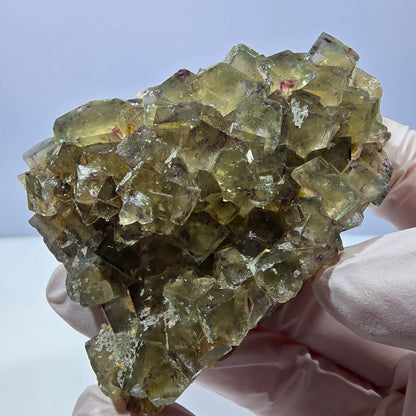 Phantom Fluorit Würfel Stufe, grün lila Okorusu, Namibia 64*50*22mm