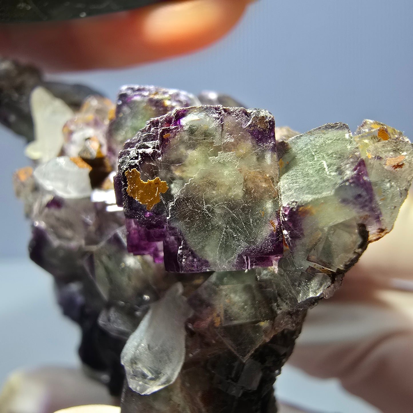 Cube de fluorite fantôme, spécimen de quartz, violet-vert Okorusu, Namibie 57 x 55 x 37 mm 