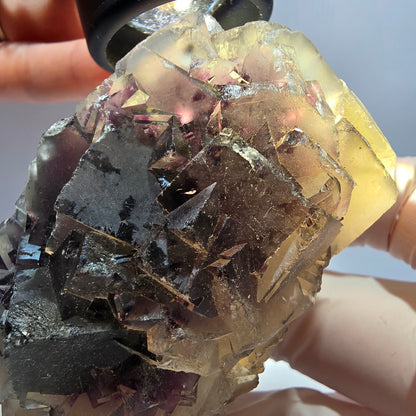 Phantom Fluorit Würfel Stufe, gelb lila Okorusu, Namibia 71*44*42mm