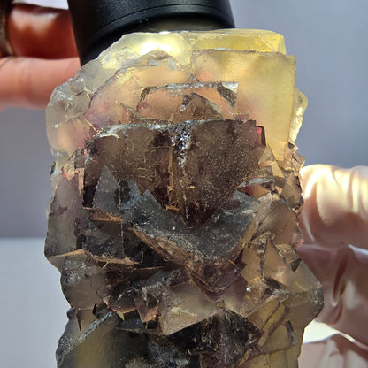 Phantom Fluorit Würfel Stufe, gelb lila Okorusu, Namibia 71*44*42mm