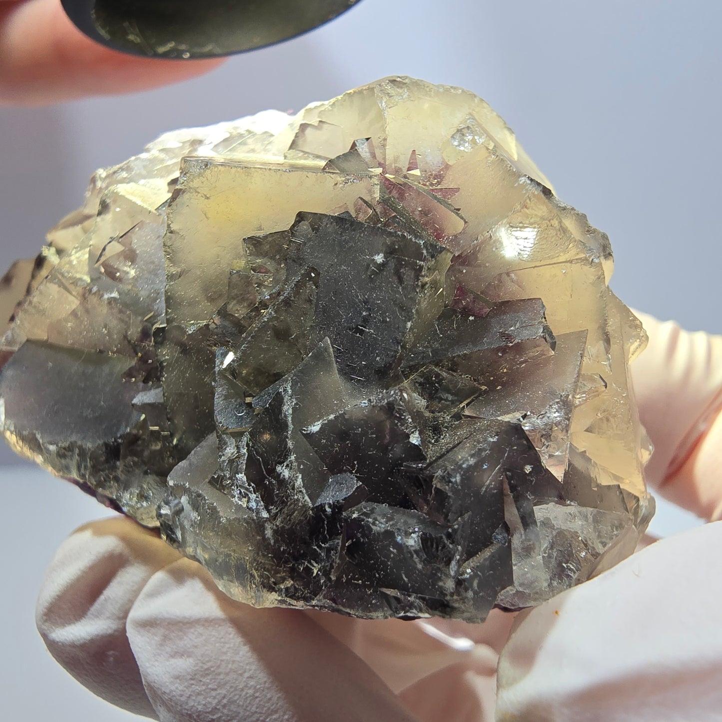Phantom Fluorit Würfel Stufe, gelb lila Okorusu, Namibia 71*44*42mm