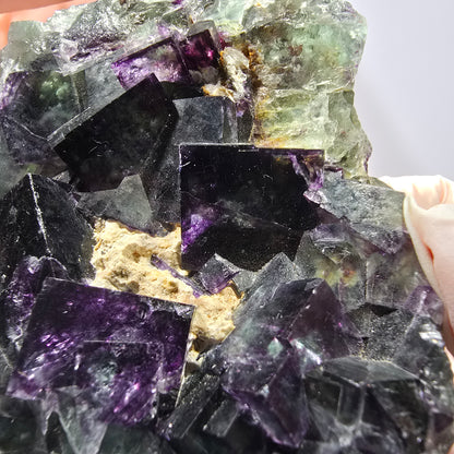 Phantom Fluorit Würfel Stufe, grün lila Okorusu, Namibia 76*63*22mm