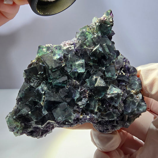 Phantom Fluorit Würfel Stufe, grün lila Okorusu, Namibia 65*63*34mm