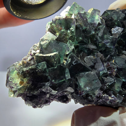Phantom Fluorit Würfel Stufe, grün lila Okorusu, Namibia 65*63*34mm
