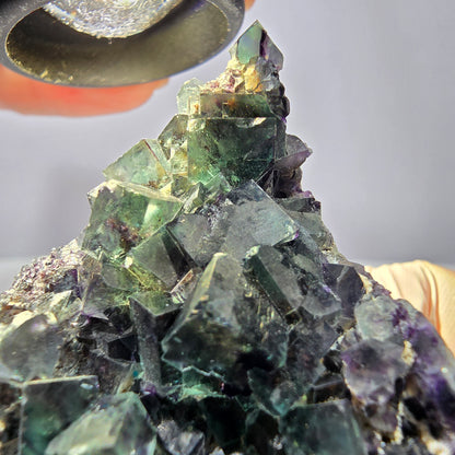 Phantom Fluorit Würfel Stufe, grün lila Okorusu, Namibia 65*63*34mm