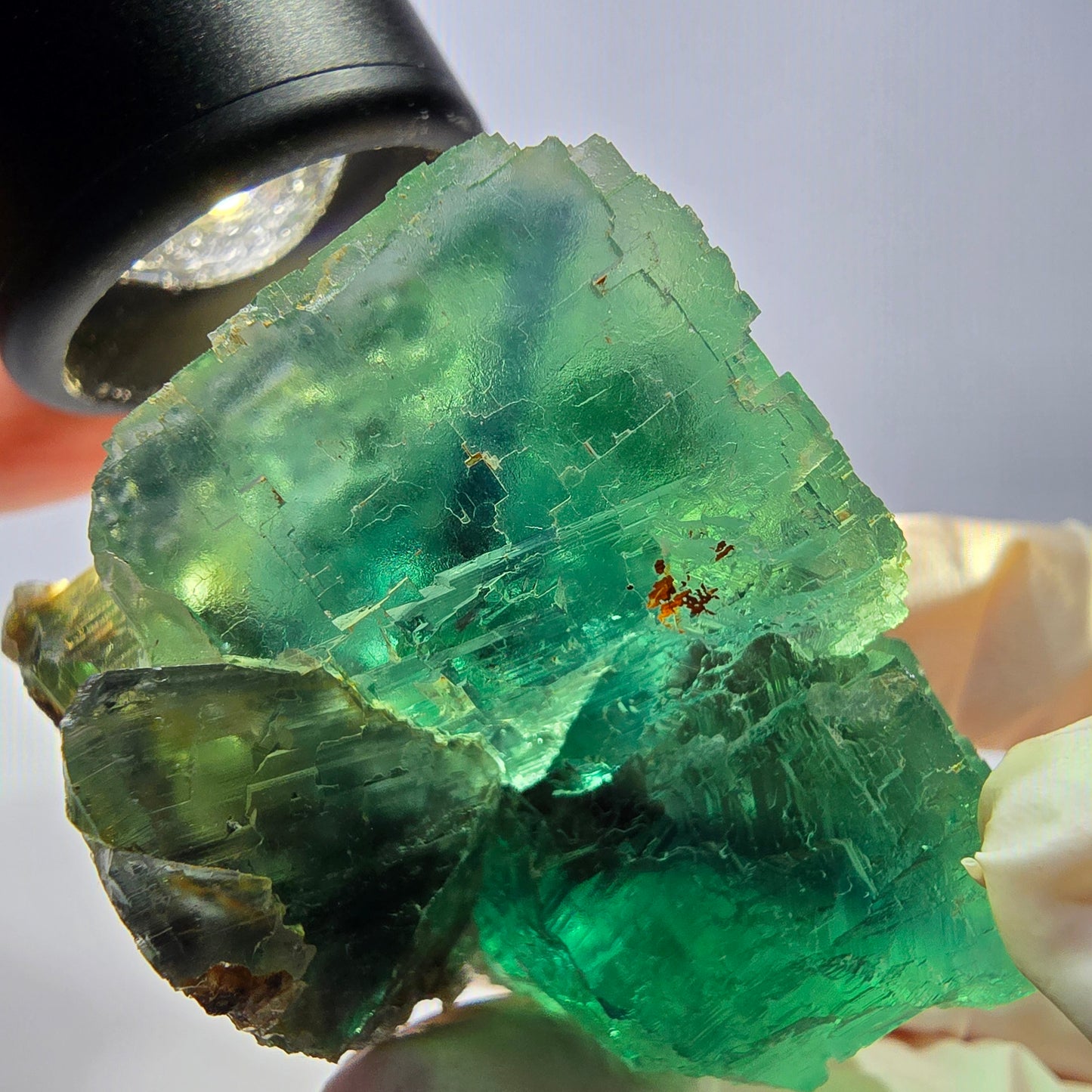 Phantom Fluorit Würfel Stufe, grün Okorusu, Namibia 42*34*33mm