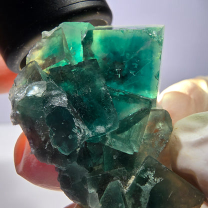 Phantom Fluorit Würfel Stufe, grün Okorusu, Namibia 43*34*21mm