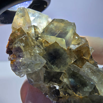 Phantom Fluorit Würfel Stufe, grün lila Okorusu, Namibia 51*33*19mm