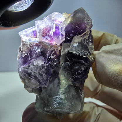 Phantom Fluorit Würfel Stufe, lila weiß Okorusu, Namibia 51*37*26mm