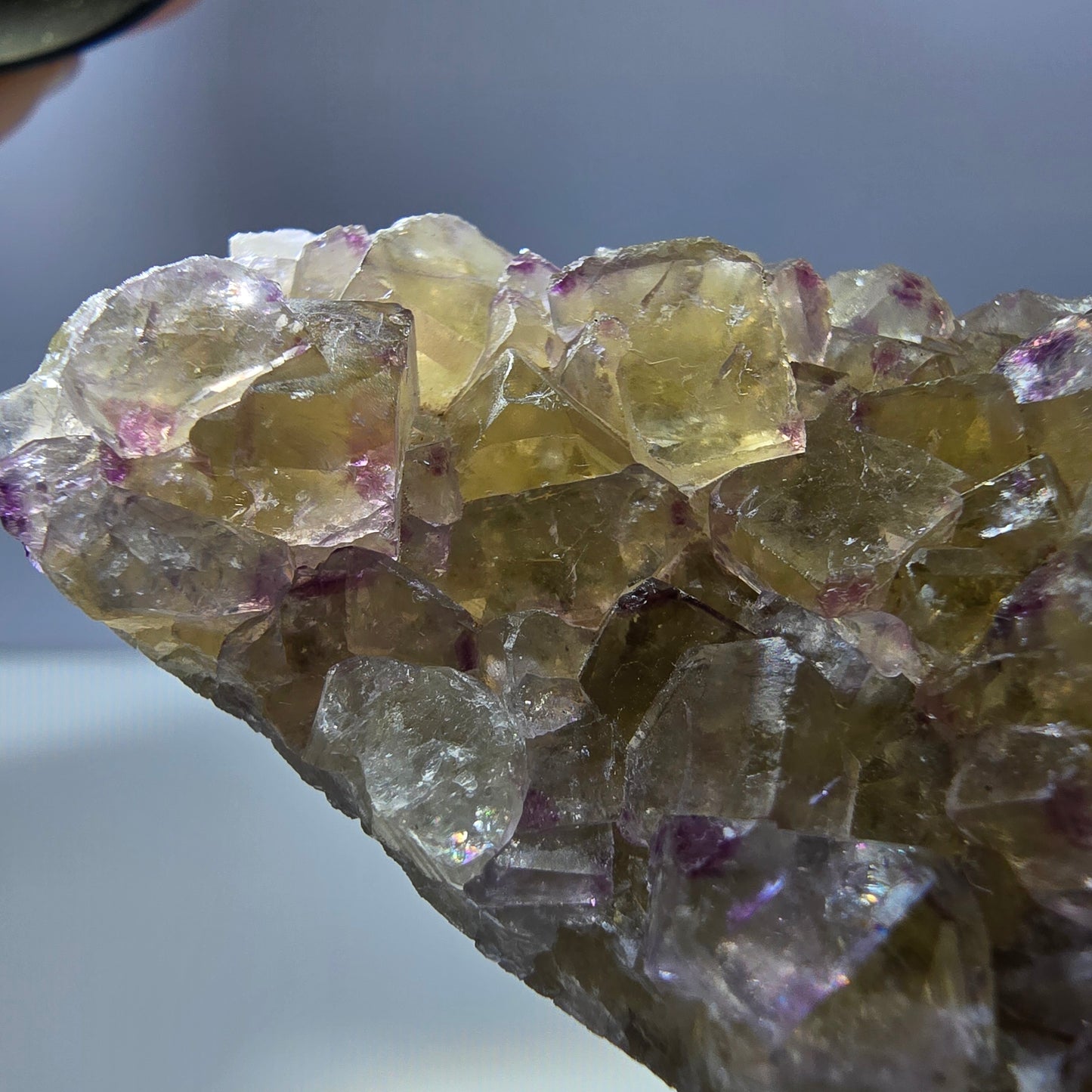 Phantom Fluorit Würfel Stufe, gelb lila Okorusu, Namibia 54*31*19mm