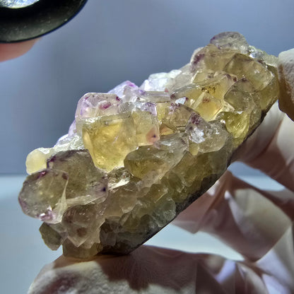 Phantom Fluorit Würfel Stufe, gelb lila Okorusu, Namibia 54*31*19mm