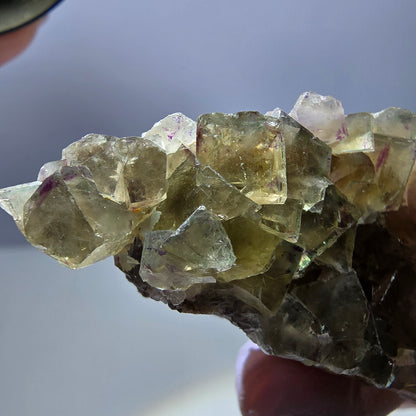 Phantom Fluorite Cube Specimen, yellow purple Okorusu, Namibia 48*27*18mm 