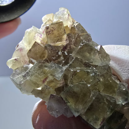 Phantom Fluorite Cube Specimen, yellow purple Okorusu, Namibia 48*27*18mm 