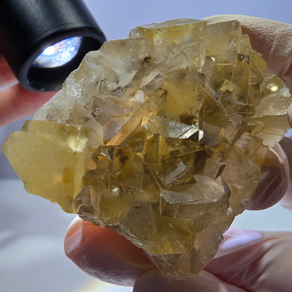 Phantom Fluorit Würfel Stufe, gelb Okorusu, Namibia 56*41*20mm