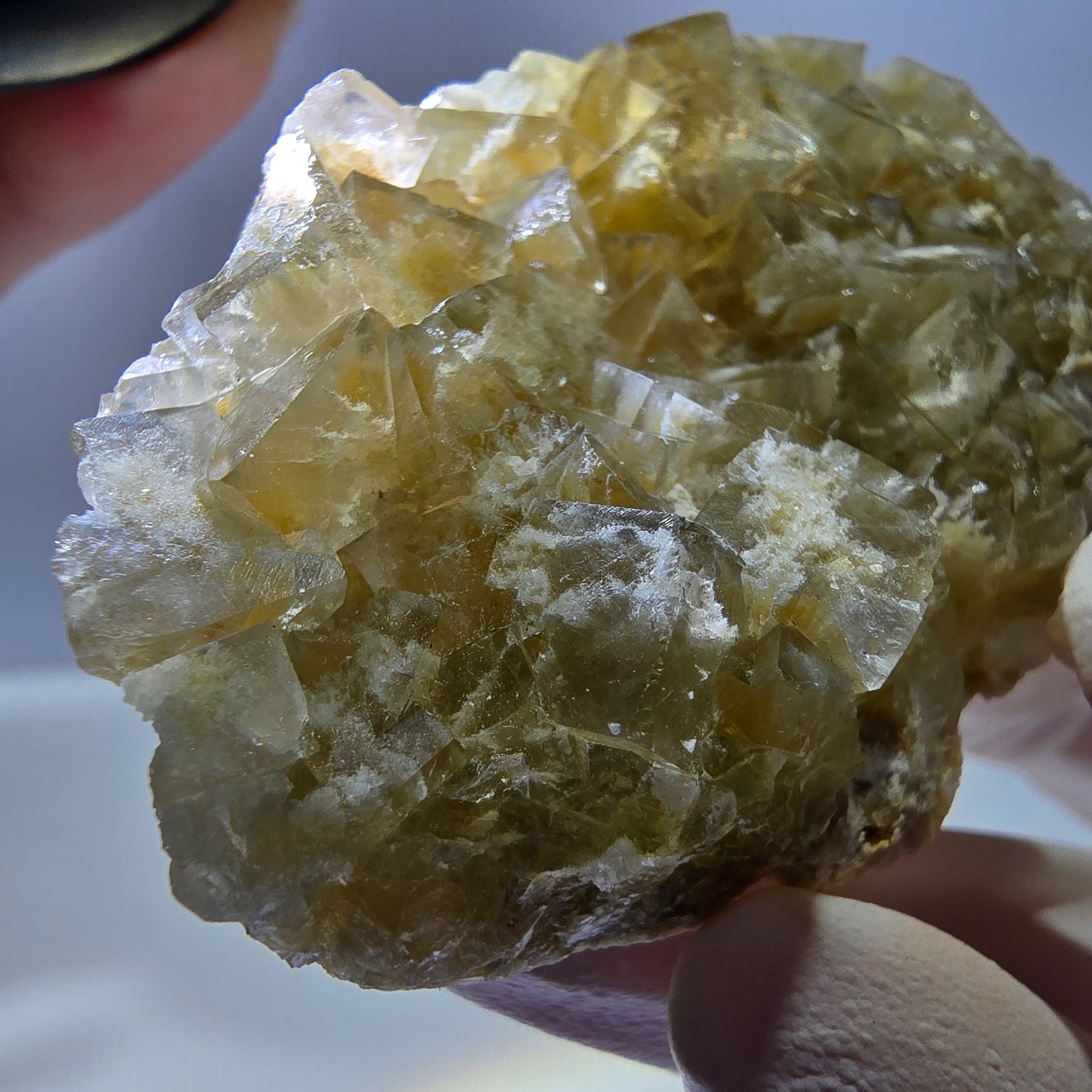 Phantom Fluorit Würfel Stufe, gelb Okorusu, Namibia 66*40*14mm