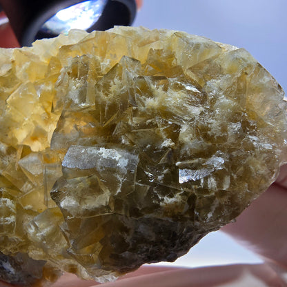 Phantom Fluorit Würfel Stufe, gelb Okorusu, Namibia 66*40*14mm