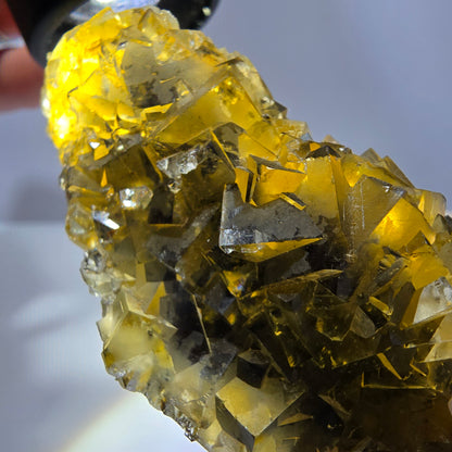 Phantom Fluorit Würfel Stufe, gelb grün Okorusu, Namibia 91*41*28mm