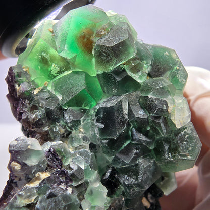 Große Phantom Fluorit, Schörl Turmalin Stufe Erongo, Namibia 89*75*52mm
