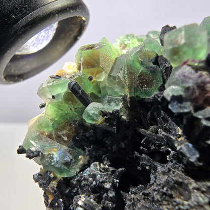 Große Phantom Fluorit, Schörl Turmalin Stufe Erongo, Namibia 89*75*52mm