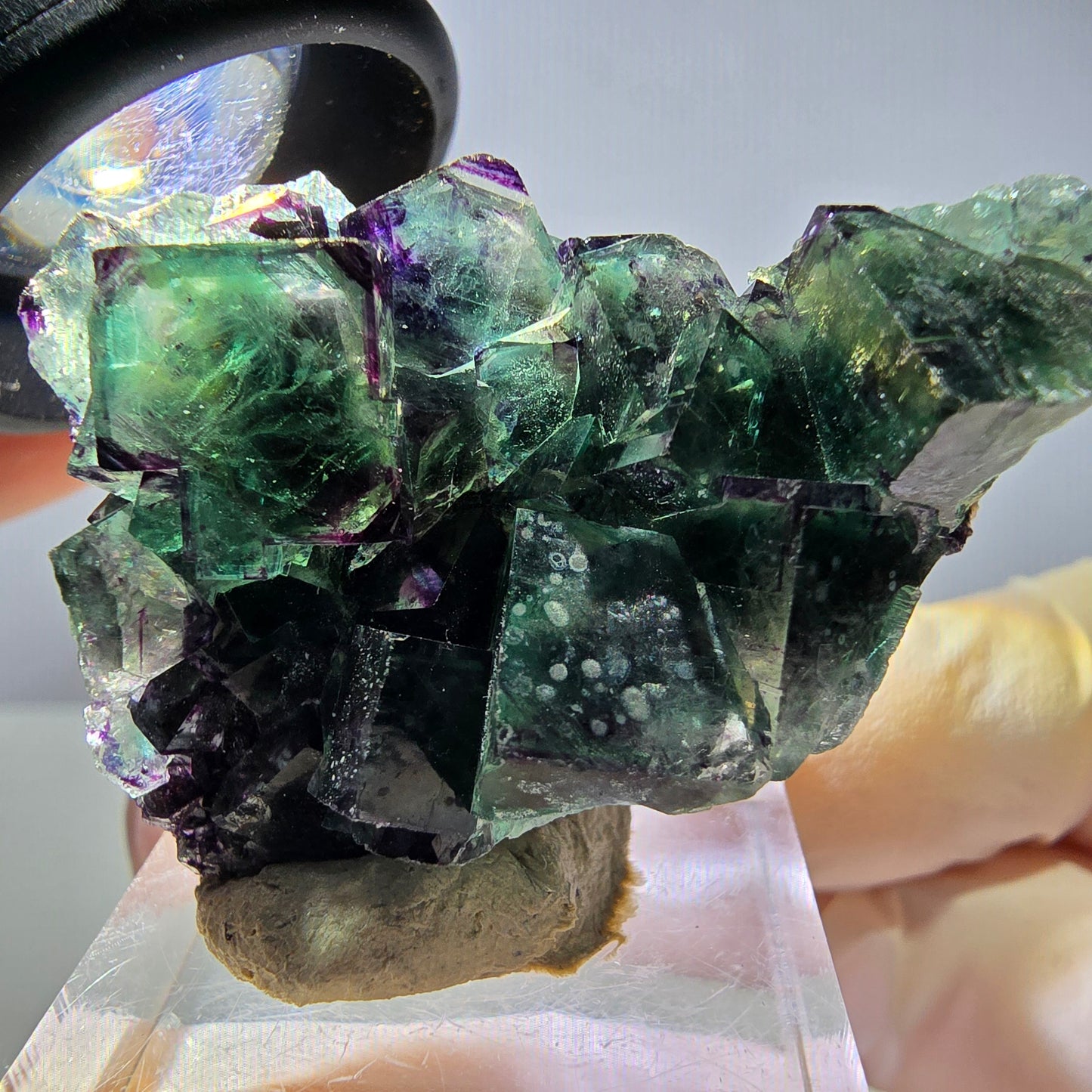 Phantom Fluorit Würfel Stufe, zonal, grün lila Okorusu, Namibia 44*28*18mm