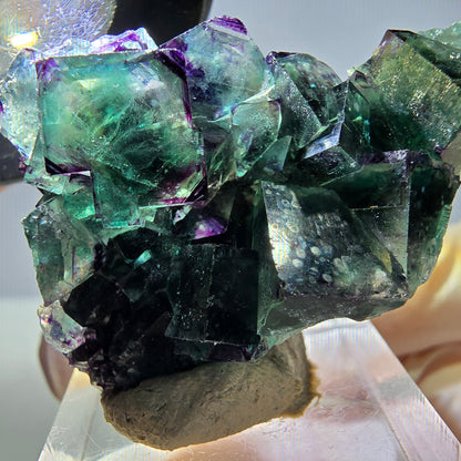 Phantom Fluorit Würfel Stufe, zonal, grün lila Okorusu, Namibia 44*28*18mm