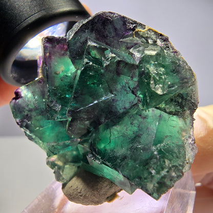 Seltene Phantom Fluorit Würfel Stufe, grün lila Okorusu, Namibia 40*37*15mm