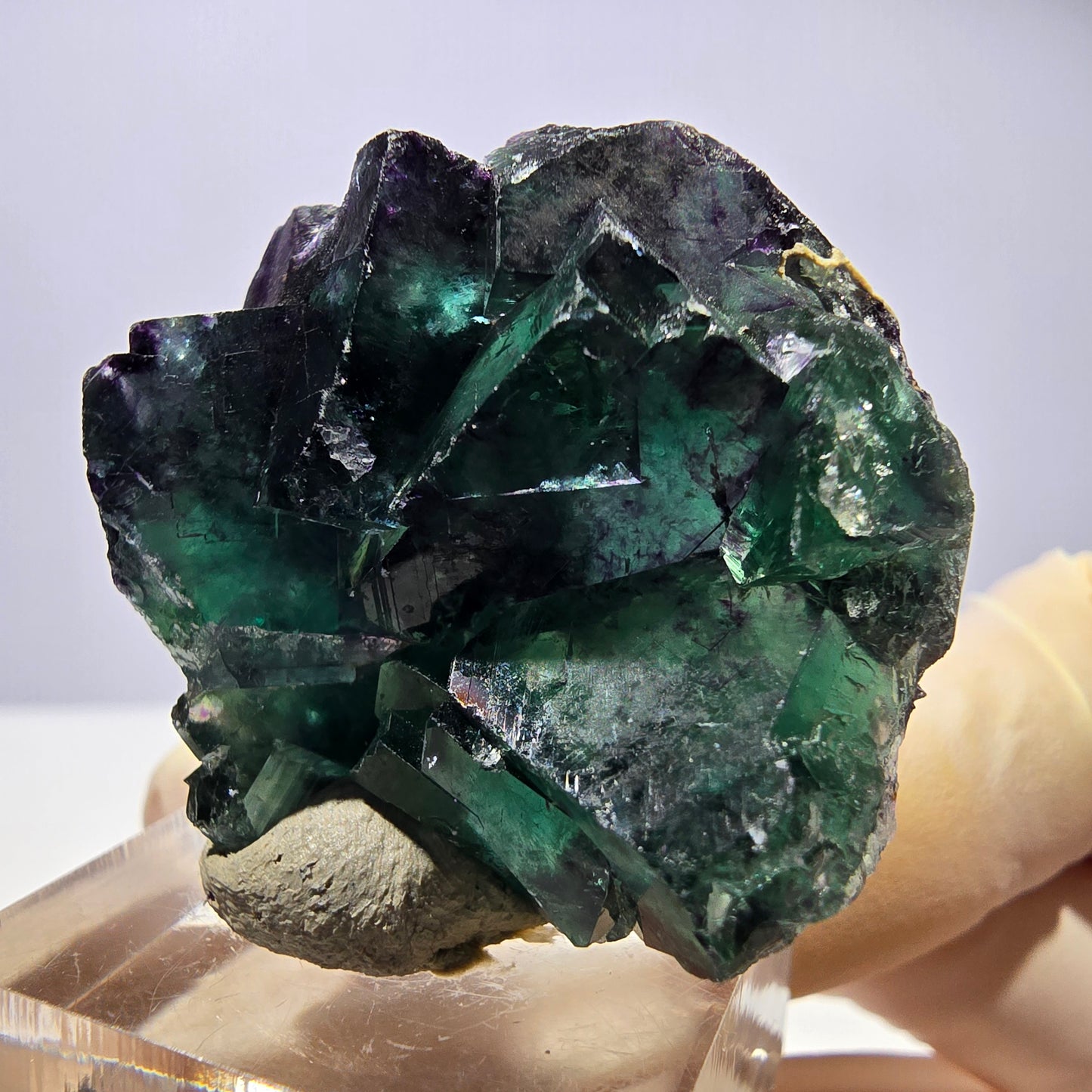 Seltene Phantom Fluorit Würfel Stufe, grün lila Okorusu, Namibia 40*37*15mm