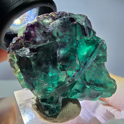 Seltene Phantom Fluorit Würfel Stufe, grün lila Okorusu, Namibia 40*37*15mm