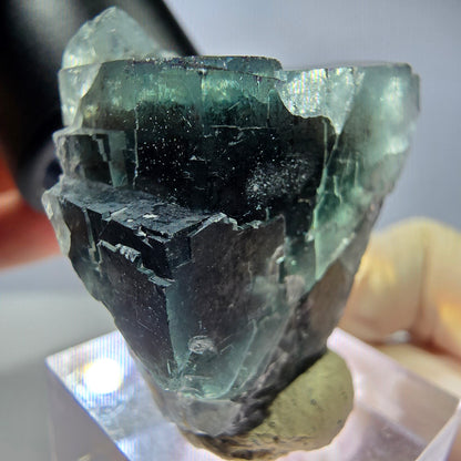 Seltene Phantom Fluorit Würfel Stufe, grün lila Okorusu, Namibia 36*32*22mm