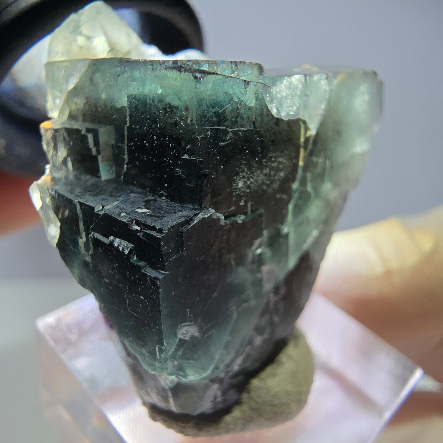 Seltene Phantom Fluorit Würfel Stufe, grün lila Okorusu, Namibia 36*32*22mm