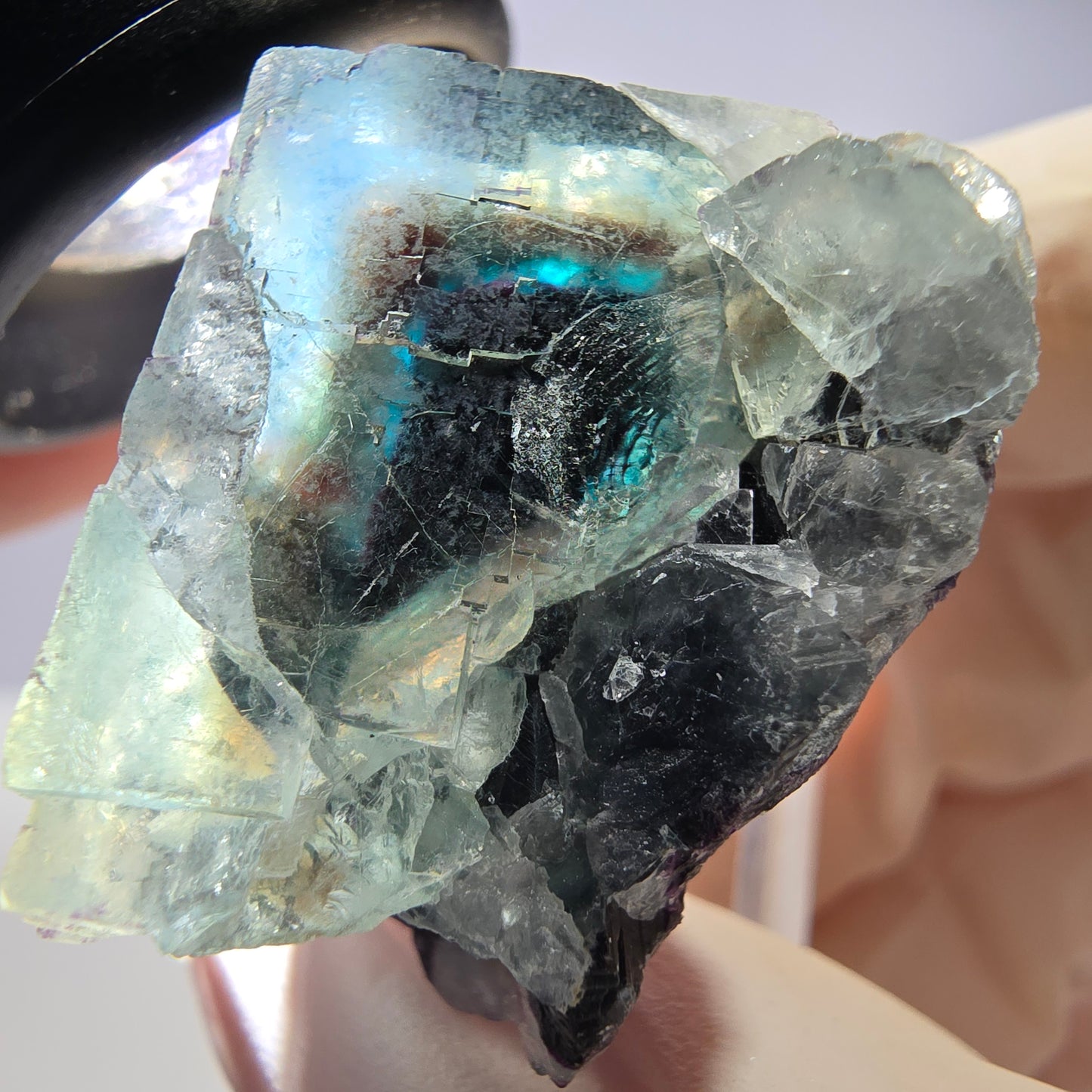 Seltene Phantom Fluorit Würfel Stufe, grün lila Okorusu, Namibia 36*32*22mm