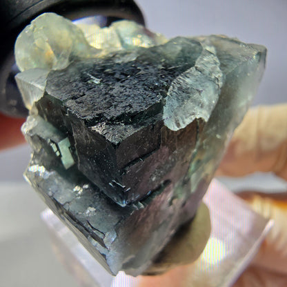 Seltene Phantom Fluorit Würfel Stufe, grün lila Okorusu, Namibia 36*32*22mm