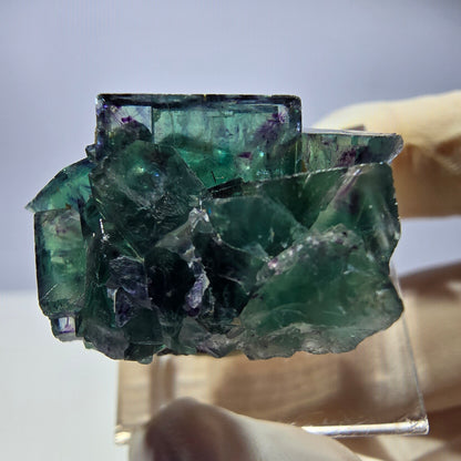 Seltene Phantom Fluorit Würfel Stufe, grün lila Okorusu, Namibia 31*20*19mm