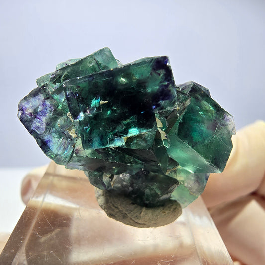 Seltene Phantom Fluorit Würfel Stufe, grün lila Okorusu, Namibia 31*20*19mm