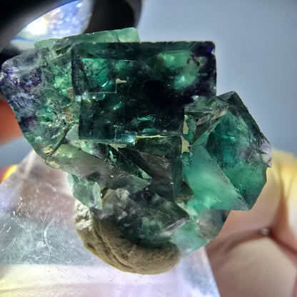 Seltene Phantom Fluorit Würfel Stufe, grün lila Okorusu, Namibia 31*20*19mm