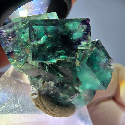 Seltene Phantom Fluorit Würfel Stufe, grün lila Okorusu, Namibia 31*20*19mm