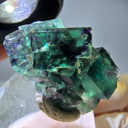 Seltene Phantom Fluorit Würfel Stufe, grün lila Okorusu, Namibia 31*20*19mm