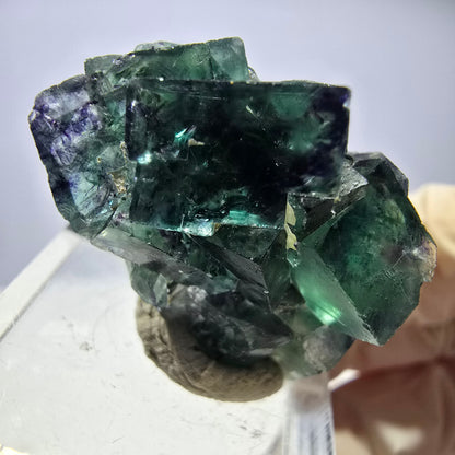 Seltene Phantom Fluorit Würfel Stufe, grün lila Okorusu, Namibia 31*20*19mm